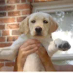 Meet your Posher, Parker